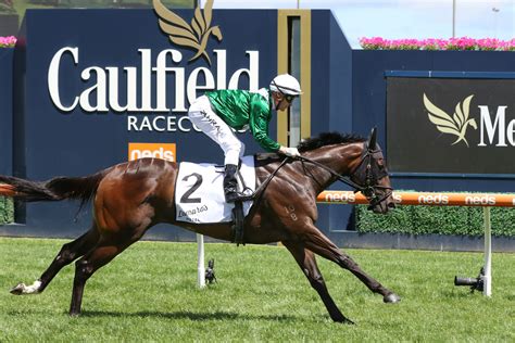 2021 Blue Diamond Stakes Field Confirmed: Enthaar Takes on Boys.